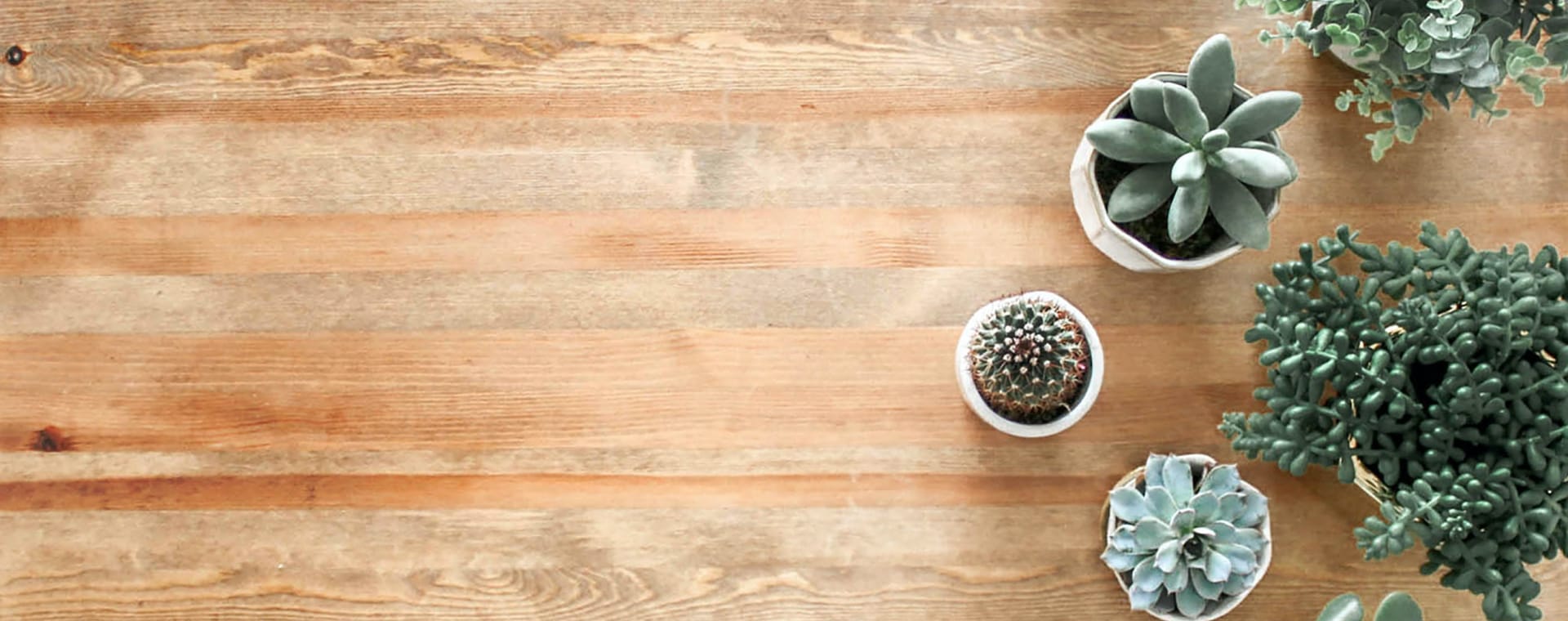 blockst_hero_slide_2