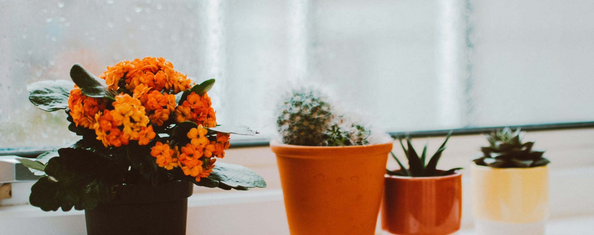 blockst_hero_slide_3